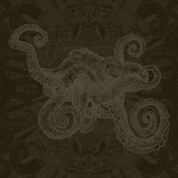 Detail of an octopus